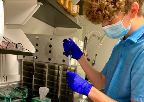 student working in lab